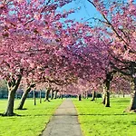 Guest house Your Harrogate