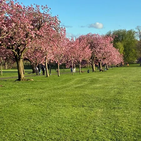 Pensjonat Your Harrogate